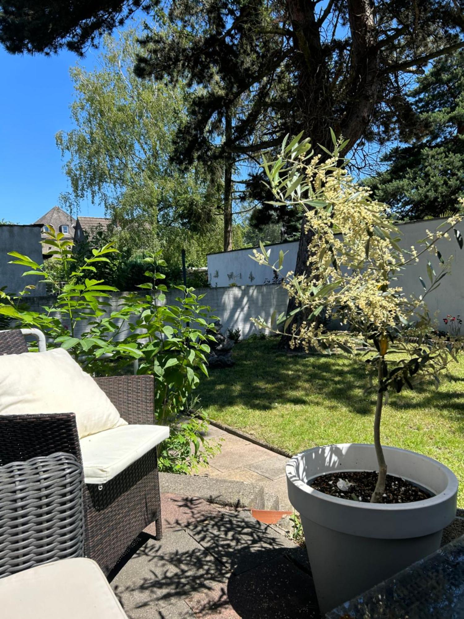 Ruhige Im Norden Von *